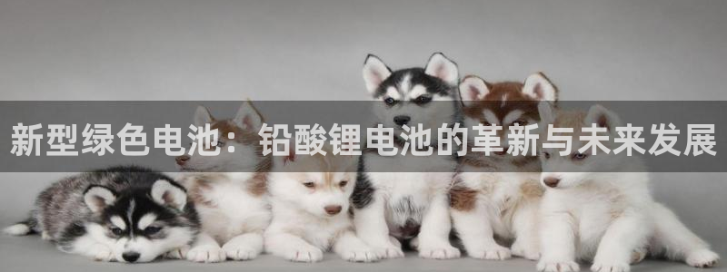 okpay钱包客服怎么联系