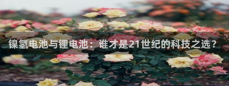 okpay数字钱包