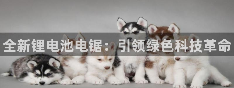 okpay钱包怎么下载